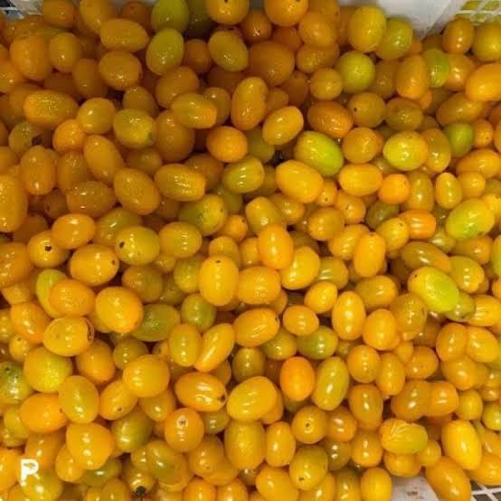 Tomat Cherry Kuning