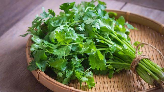supplier Daun Seledri KITA SUPPLY