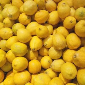 supplier Lemon Lokal KITA SUPPLY