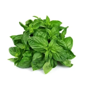 Basil Fresh