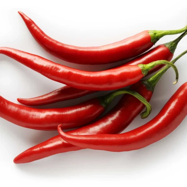 Cabe Merah Besar