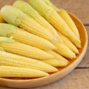 Jagung Putren