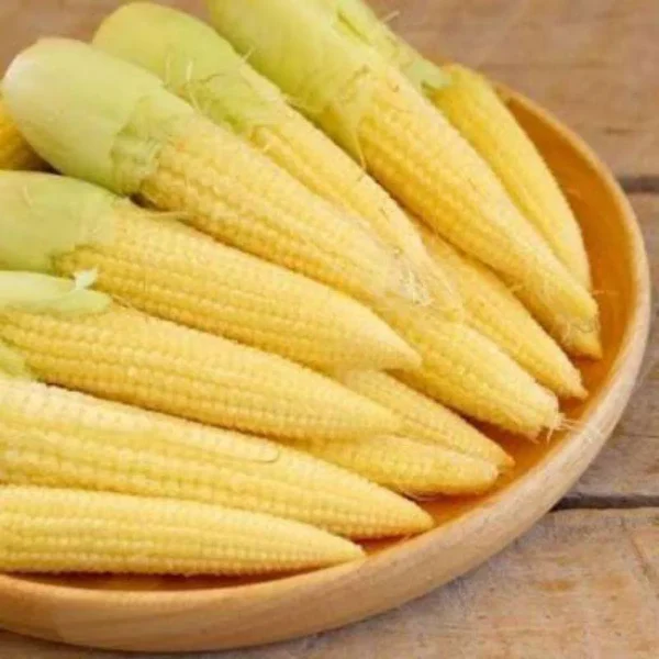 Jagung Putren