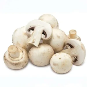 Jamur Champiogn