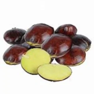 Jengkol