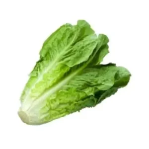 Romaine