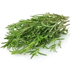 Rosemary Fresh