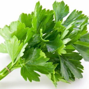 daun ketumbar