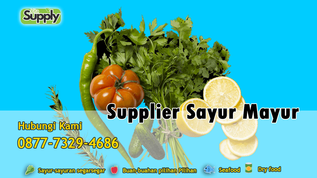 supplier sayur mayur